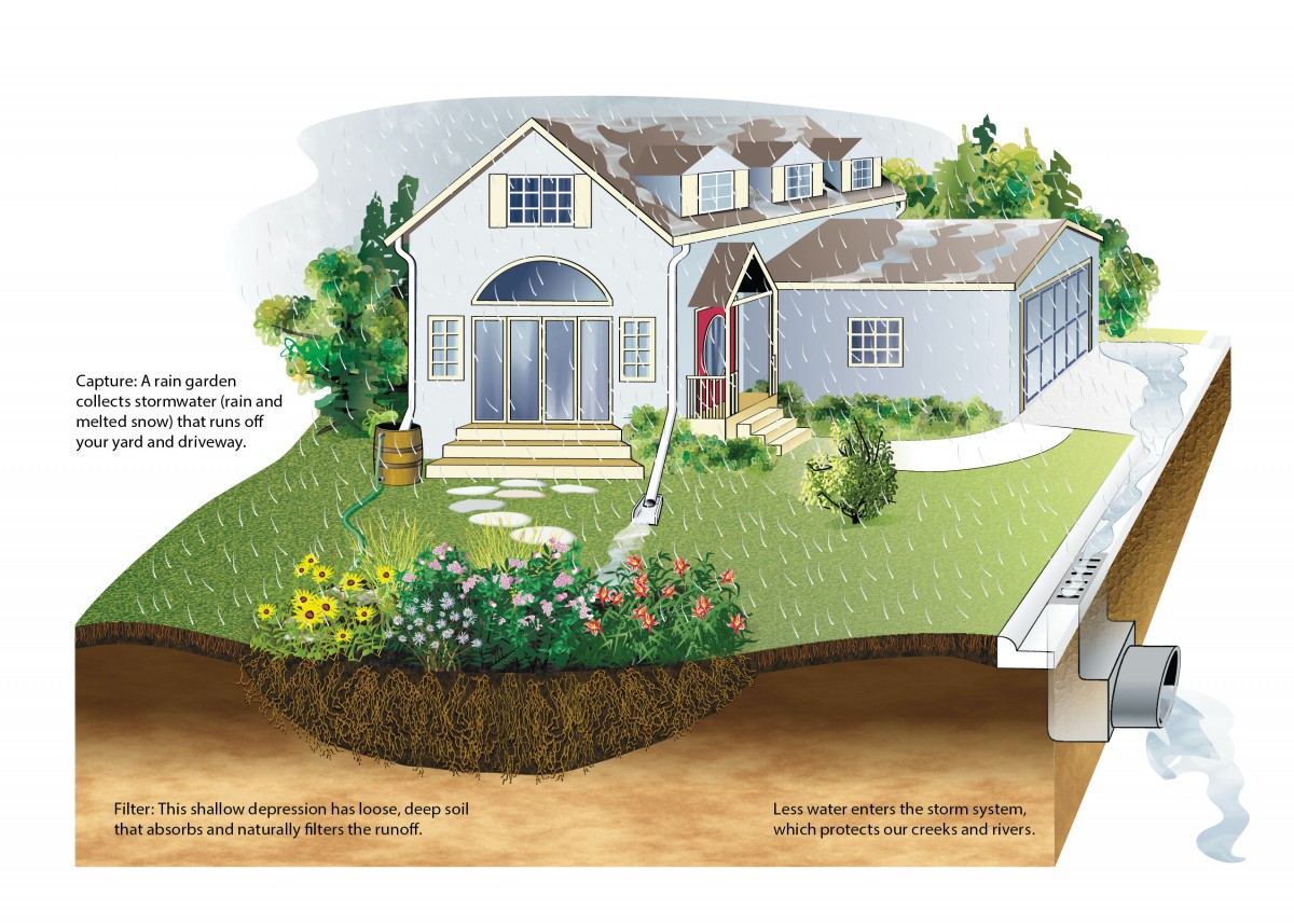 Rain Garden Diagram, Reduce the Impact of Stormwater
