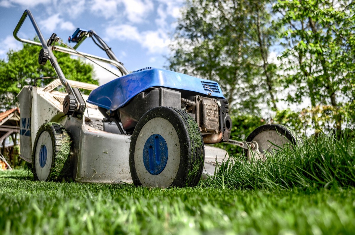lawn mower showing negative environmental impacts or a traditional lawn